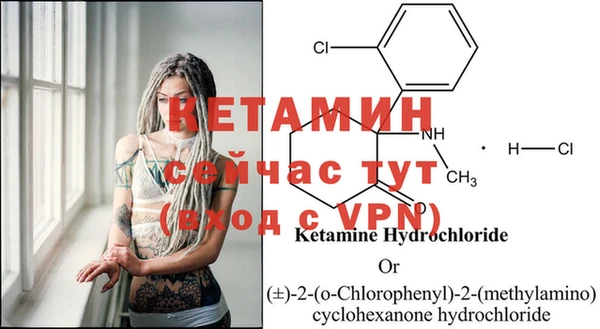 мяу мяу мука Белокуриха
