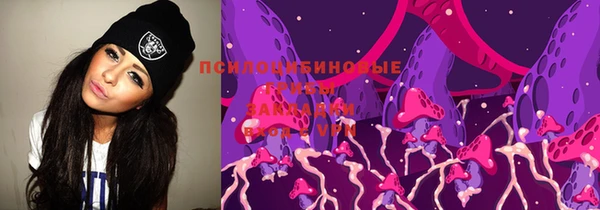 мяу мяу мука Белокуриха