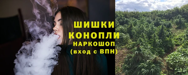 мяу мяу мука Белокуриха