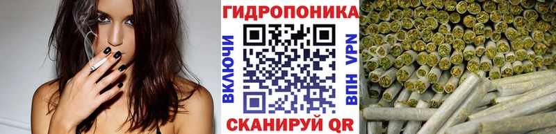 Купить закладки  Соль-Илецк  Каннабис план 